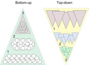 bottom-up-Tp-Down